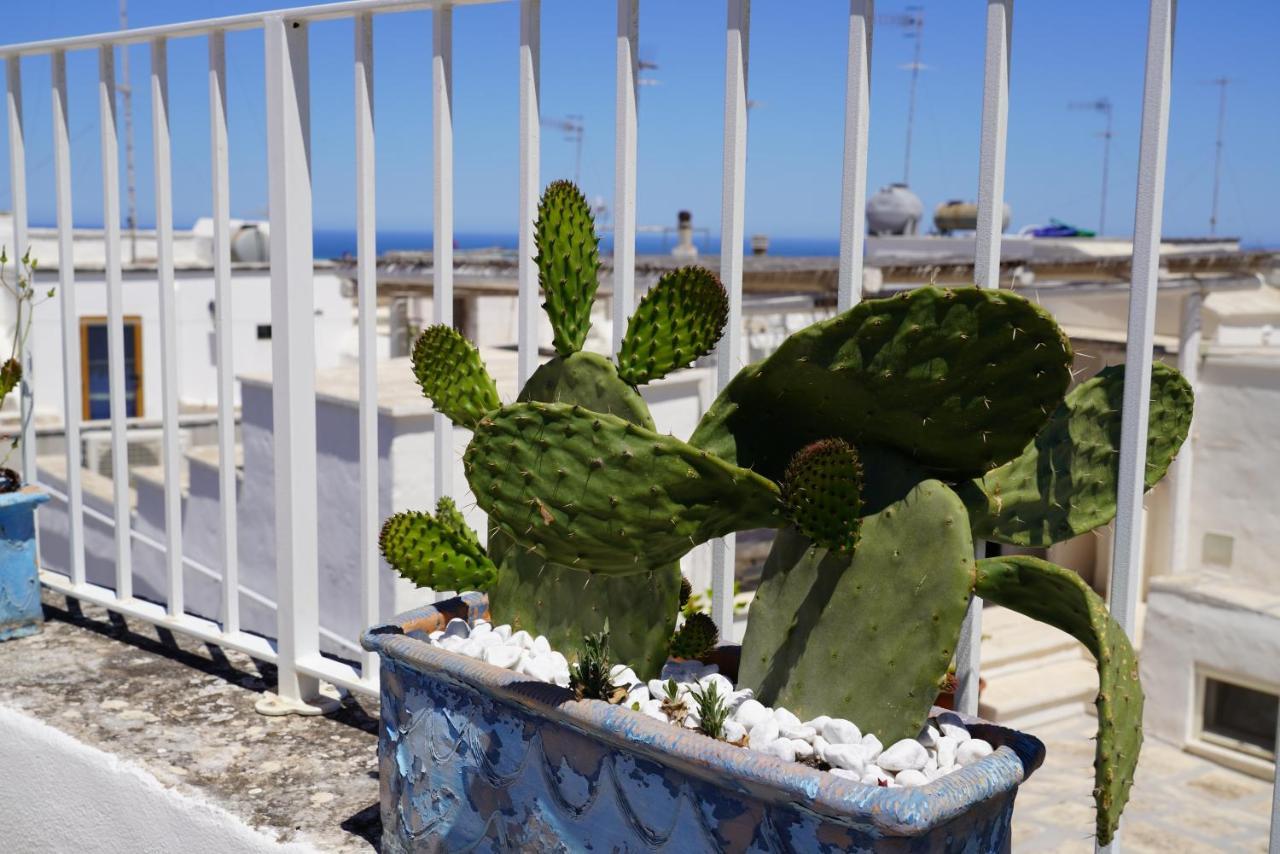 Casabella - Con Terrazza Panoramica Villa Ostuni Eksteriør billede