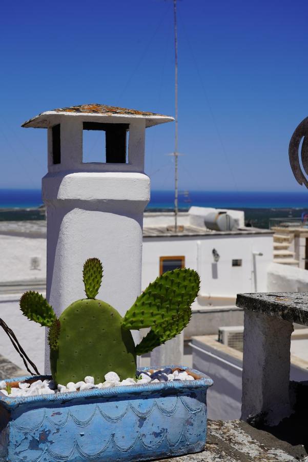 Casabella - Con Terrazza Panoramica Villa Ostuni Eksteriør billede